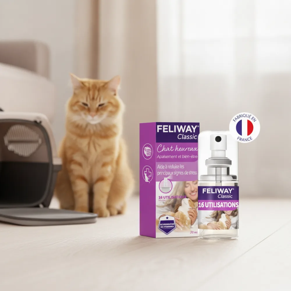 Spray et boîte Feliway Classic posés près d'une caisse de transport avec un chat serein